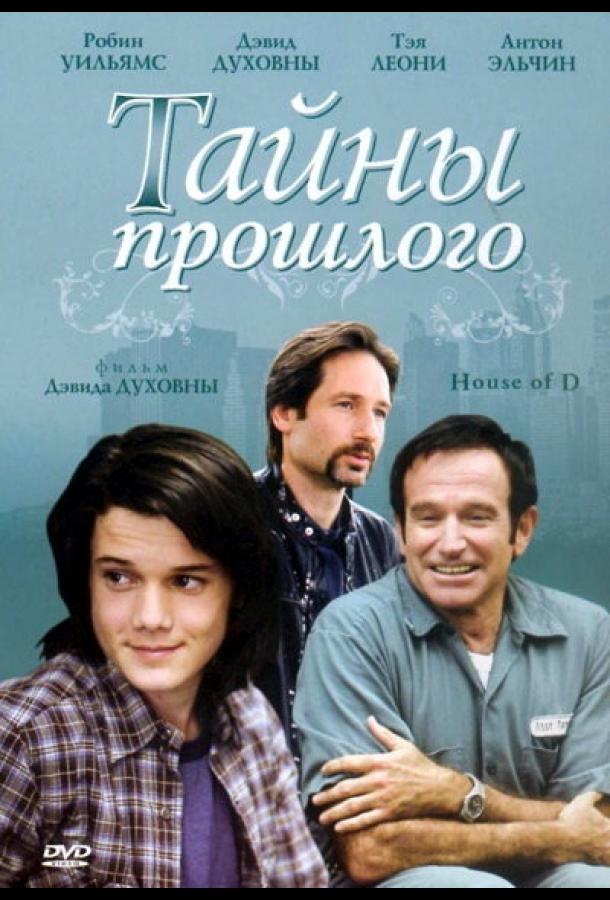 Фильм Тайны прошлого 2004 года смотреть онлайн с Теа Леони и Робином Уильямсом